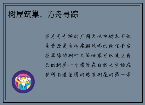 树屋筑巢，方舟寻踪