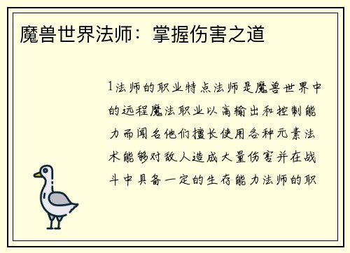 魔兽世界法师：掌握伤害之道